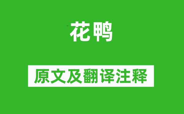 杜甫《花鴨》原文及翻譯注釋,詩意解釋