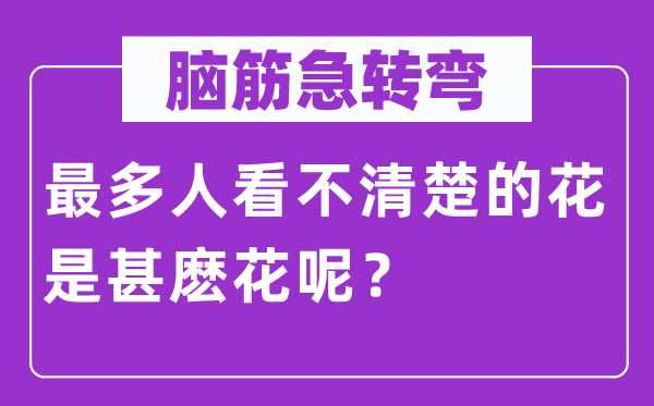 腦筋急轉彎：最多人看不清楚的花是甚麼花呢？