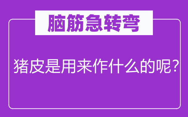 腦筋急轉(zhuǎn)彎：豬皮是用來作什么的呢？