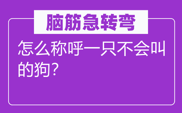 腦筋急轉彎：怎么稱呼一只不會叫的狗？