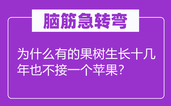 腦筋急轉彎：為什么有的果樹生長十幾年也不接一個蘋果？