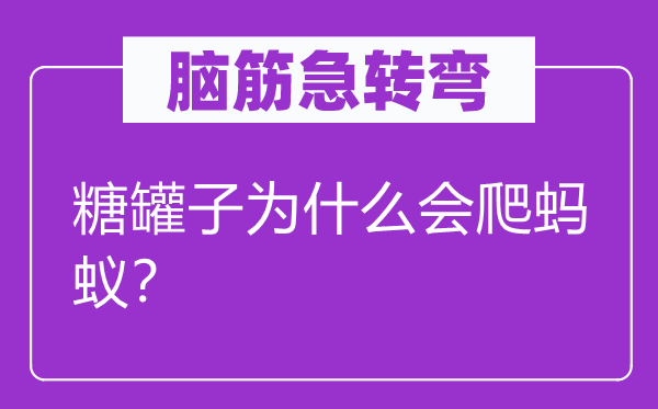 腦筋急轉(zhuǎn)彎：糖罐子為什么會(huì)爬螞蟻？