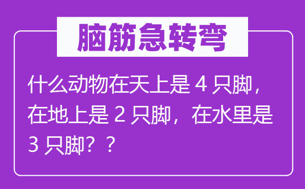 腦筋急轉彎：什么動物在天上是4只腳，在地上是2只腳，在水里是3只腳？