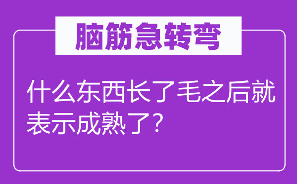 腦筋急轉(zhuǎn)彎:什么東西長(zhǎng)了毛之后就表示成熟了?