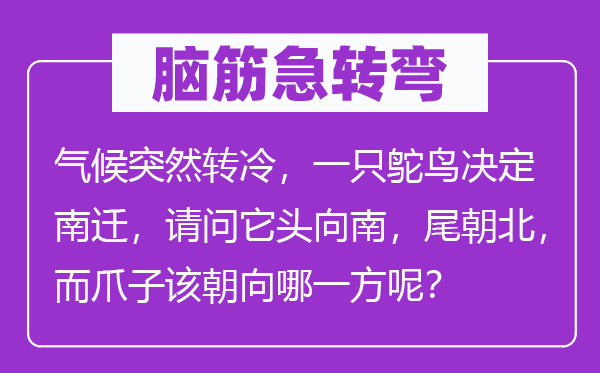 腦筋急轉彎：氣候突然轉冷，一只鴕鳥決定南遷，請問它頭向南，尾朝北，而爪子該朝向哪一方呢？