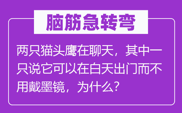 腦筋急轉彎：兩只貓頭鷹在聊天，其中一只說它可以在白天出門而不用戴墨鏡，為什么？