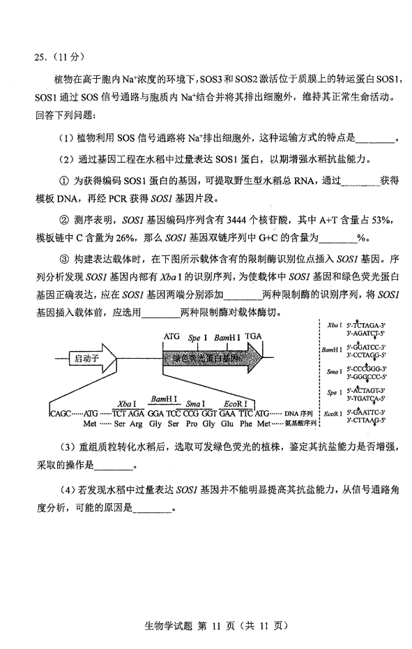新高考2024七省聯(lián)考生物試卷及答案解析