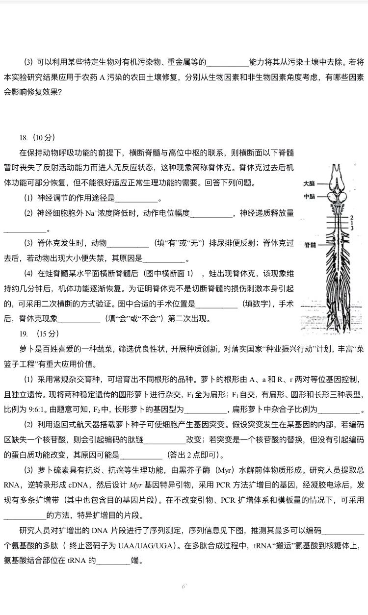 新高考2024七省聯考生物試卷及答案解析