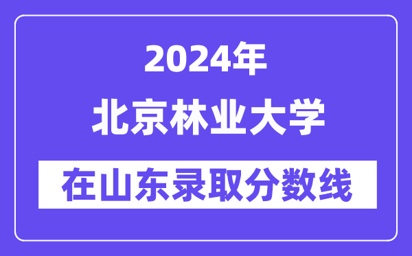 北京林業大學2024年在山東錄取分數線一覽表(2025年參考)