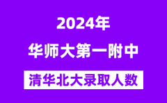 2024年華師一附中考入清華北大人