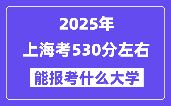 2025年上海考530分左右能報(bào)考上什么大學(xué)?附位次排名對照表