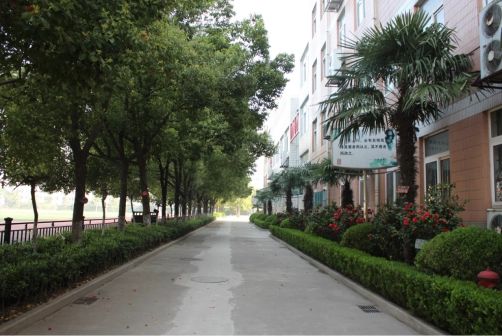 南京第二十九中學簡介概況（建校歷史、地址、師資、校訓、環境）