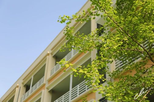 南京第五高級中學簡介概況（建校歷史、地址、師資、校訓、環境）