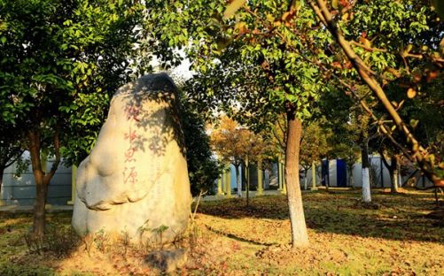 西安交通大學(xué)蘇州附屬中學(xué)簡(jiǎn)介概況(建校歷史、地址、師資、校訓(xùn)、環(huán)境)