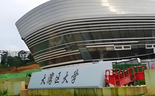 大灣區大學是公辦還是民辦？