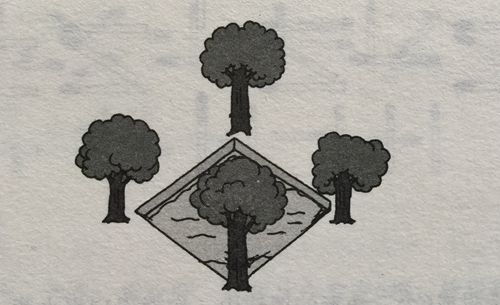 圖形類智力題：擴(kuò)大池塘